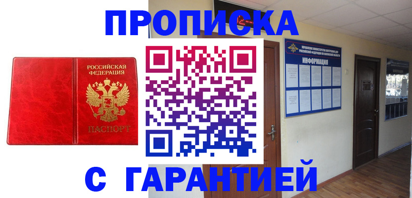 прописка для школы в Купино